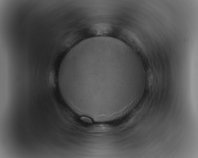 X0000094370316200711162116