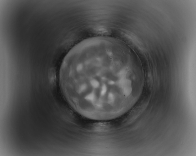 X0000094370320200711162116