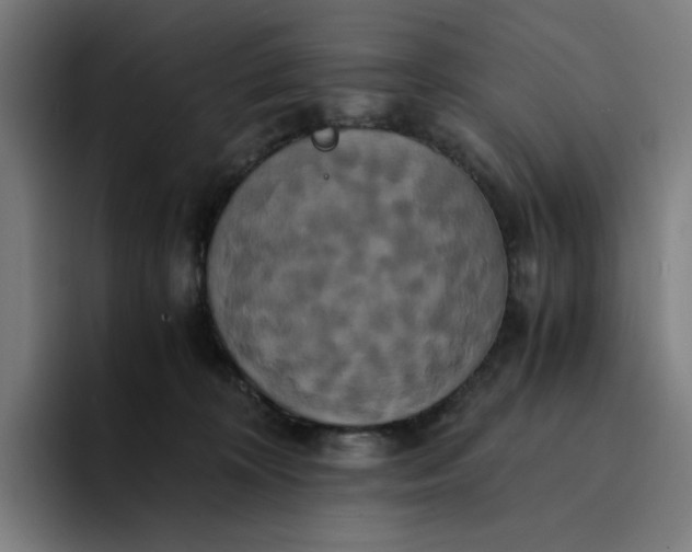 X0000094370324200711162116