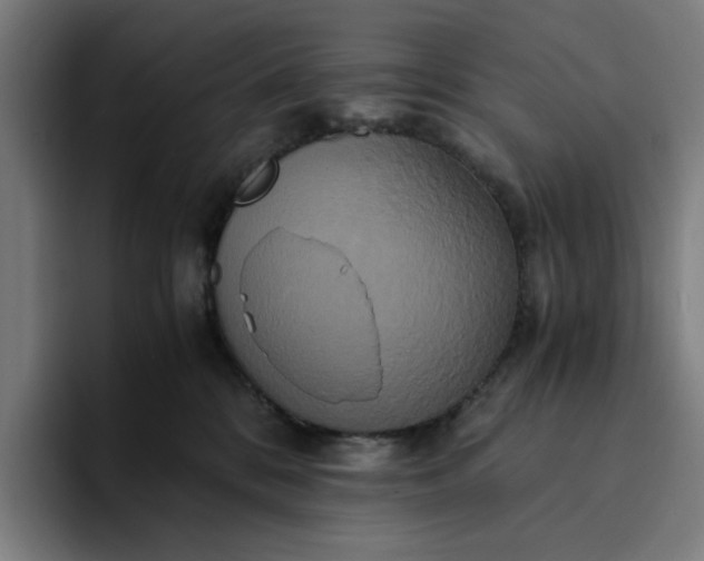 X0000094370328200711162116