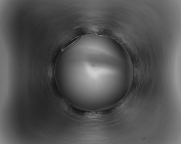 X0000094370331200711162115