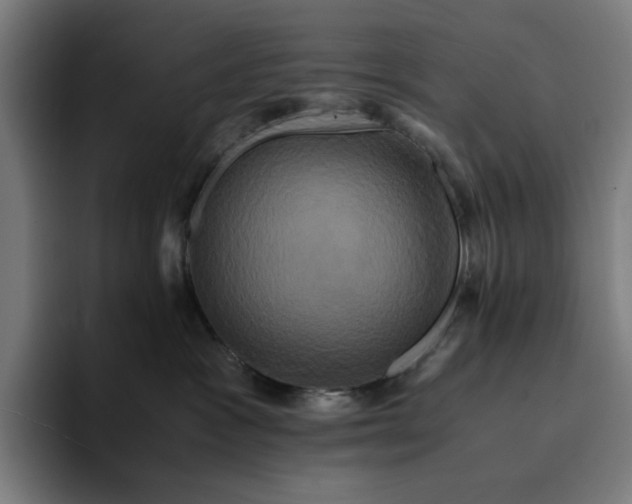 X0000094370333200711162115