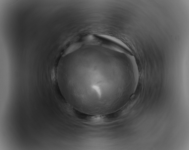 X0000094370335200711162115