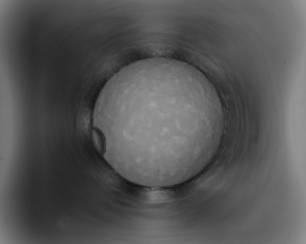 X0000094370336200711162115