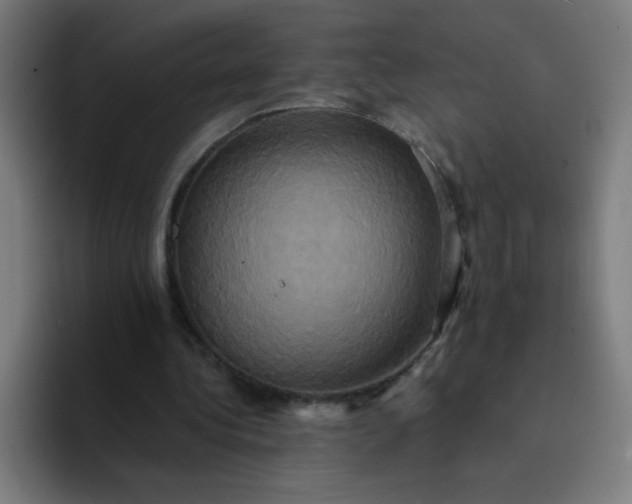 X0000094370340200711162115