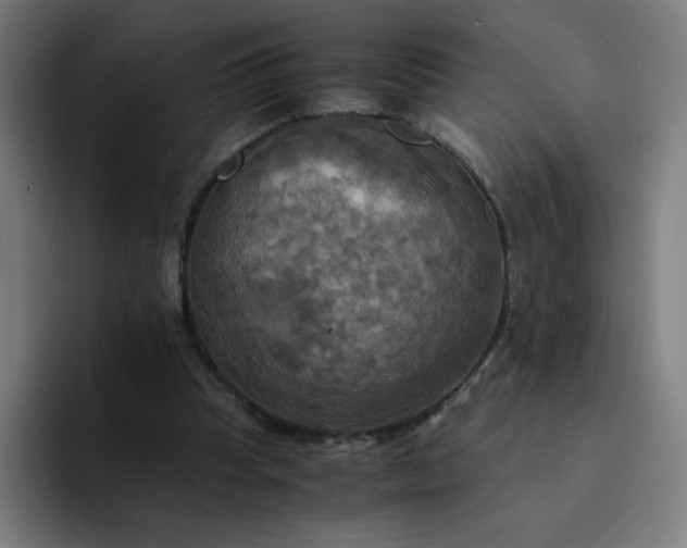 X0000094370345200711162115