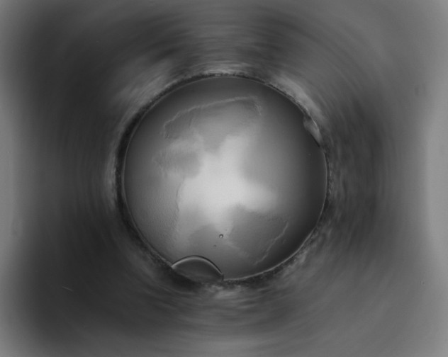 X0000094370346200711162115