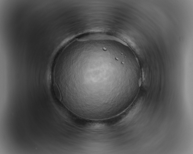 X0000094370348200711162115