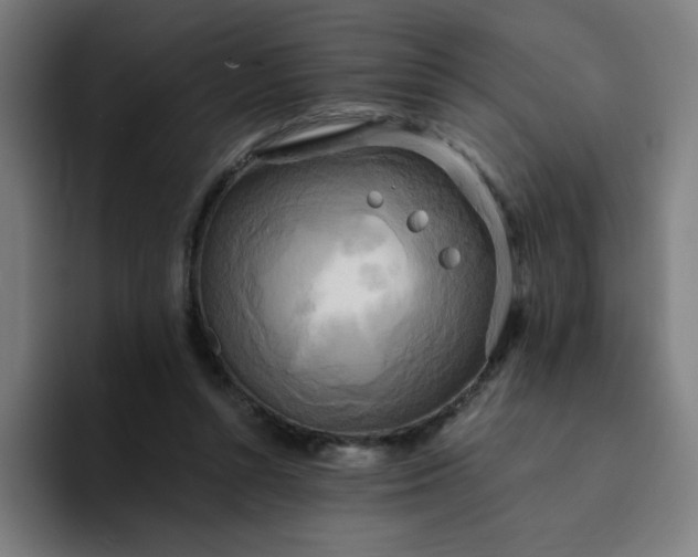 X0000094370352200711162115