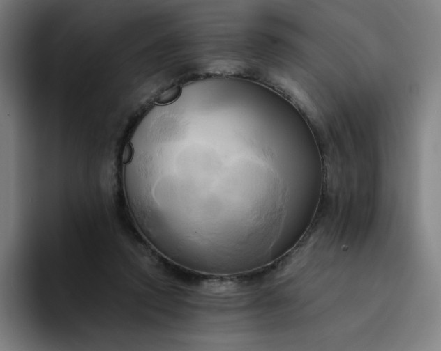 X0000094370354200711162115