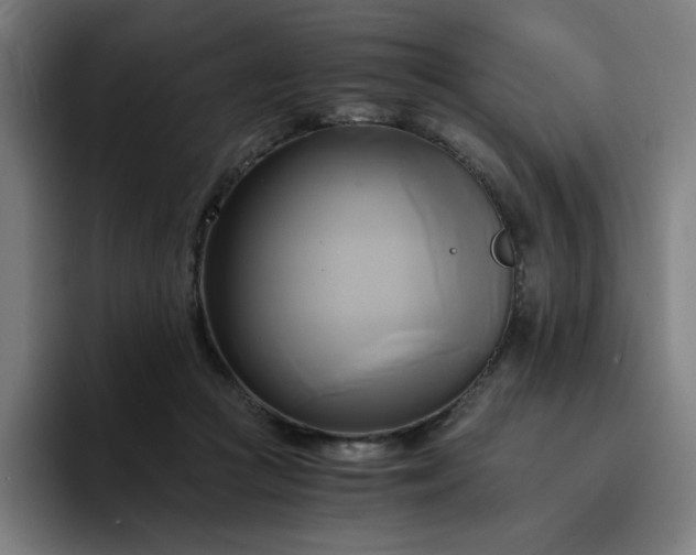 X0000094370361200711162115