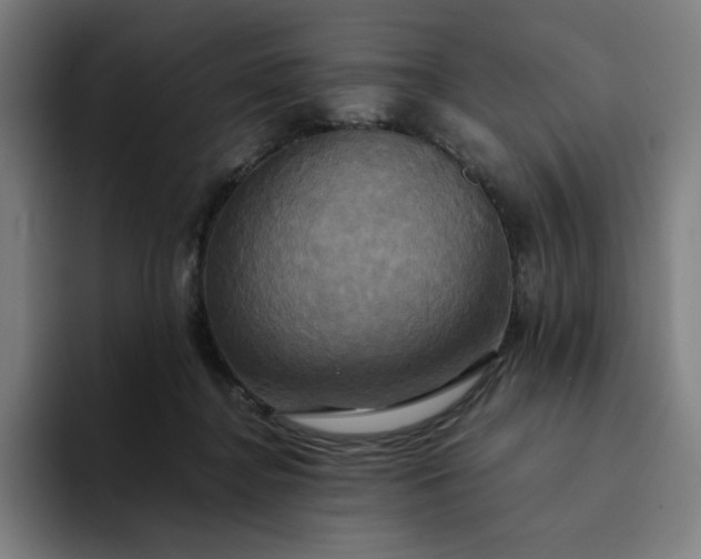 X0000094370364200711162115