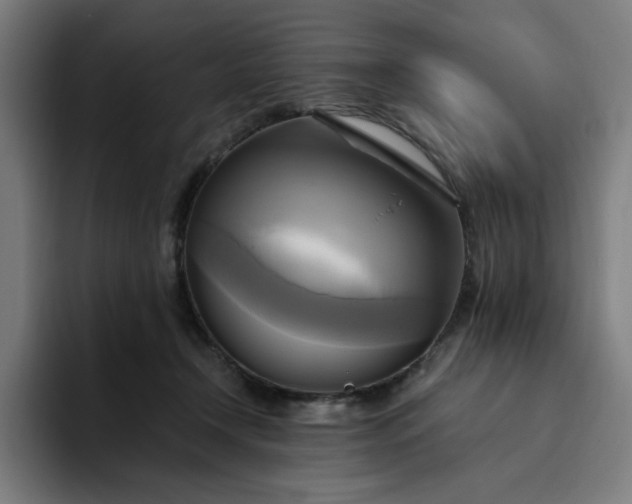 X0000094370366200711162115