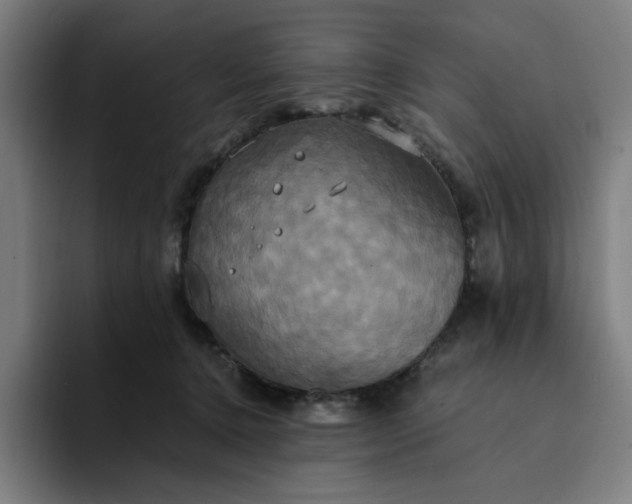 X0000094370368200711162115