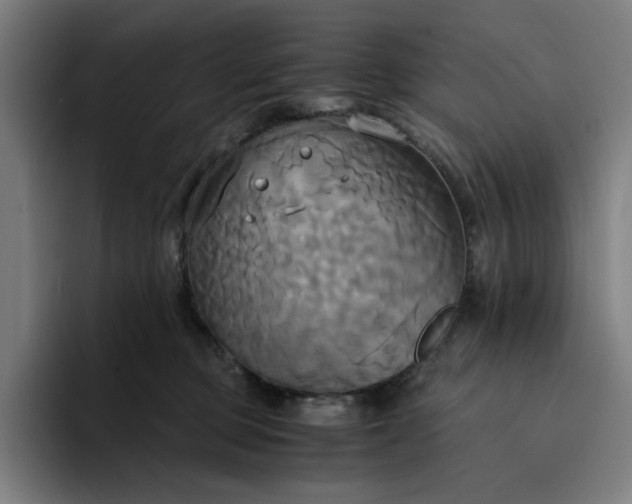 X0000094370373200711162115