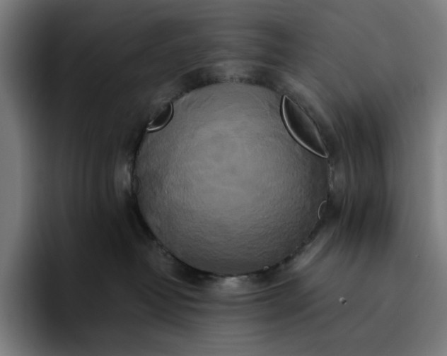 X0000094370382200711162115