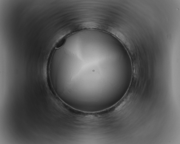 X0000094370390200711162115