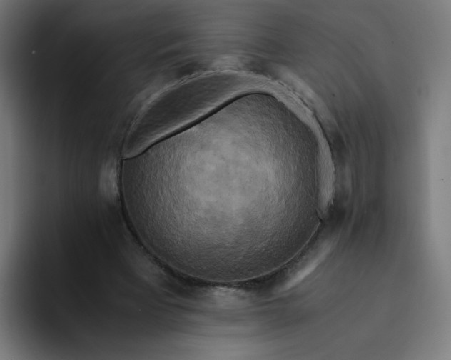 X0000094370393200711162115