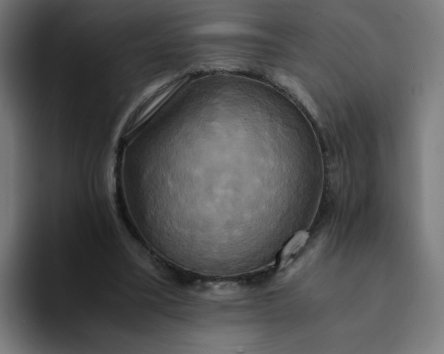 X0000094370395200711162115