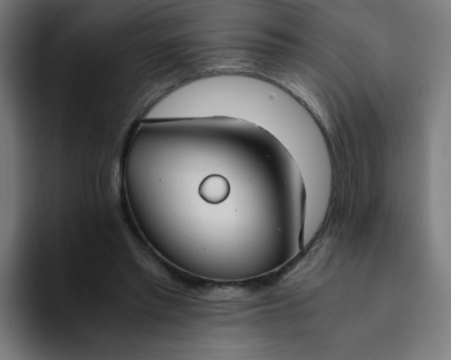 X0000094370397200711162115