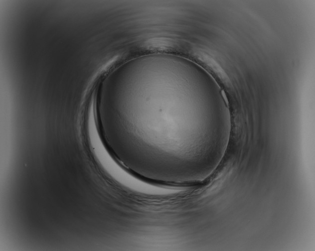 X0000094370399200711162115