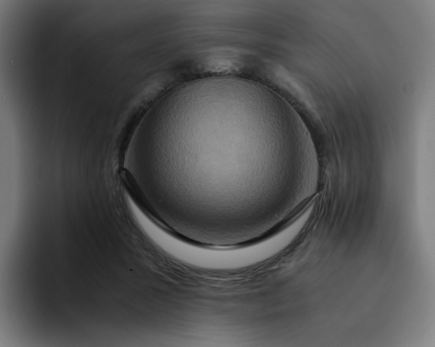 X0000094370407200711162114