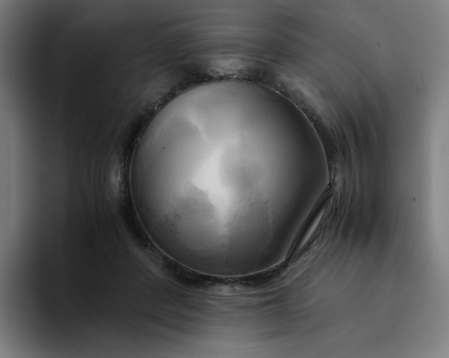 X0000094370408200711162114