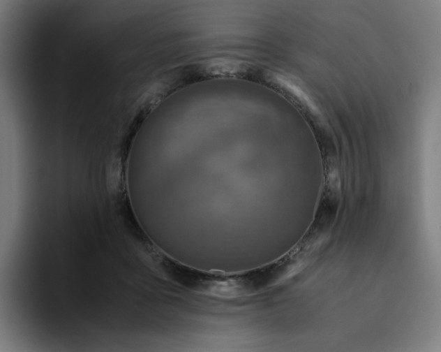 X0000094370411200711162114