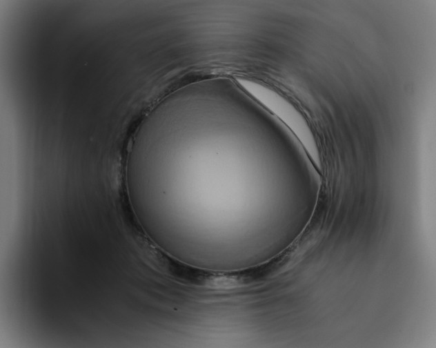 X0000094370413200711162114