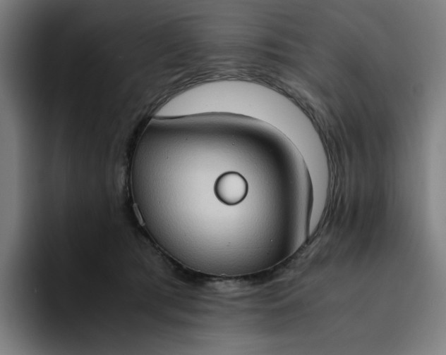 X0000094370417200711162114