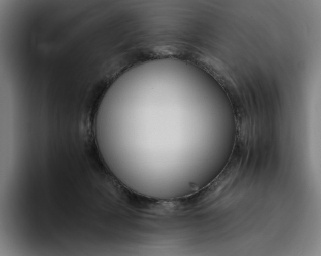 X0000094370418200711162114