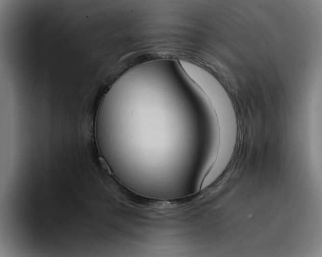 X0000094370421200711162114