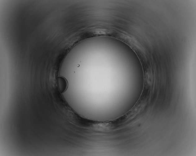 X0000094370422200711162114