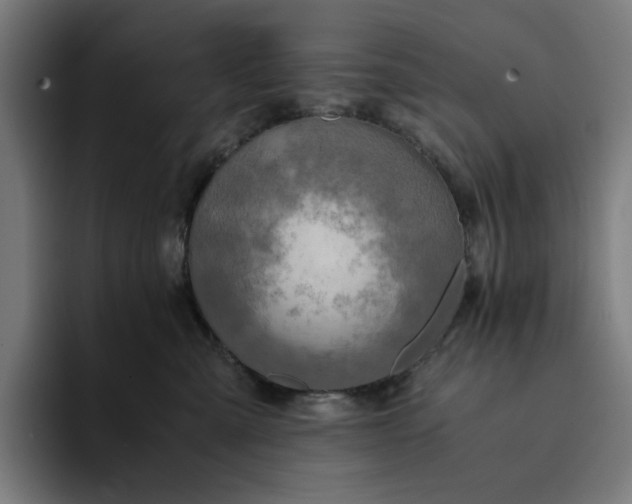 X0000094370427200711162114