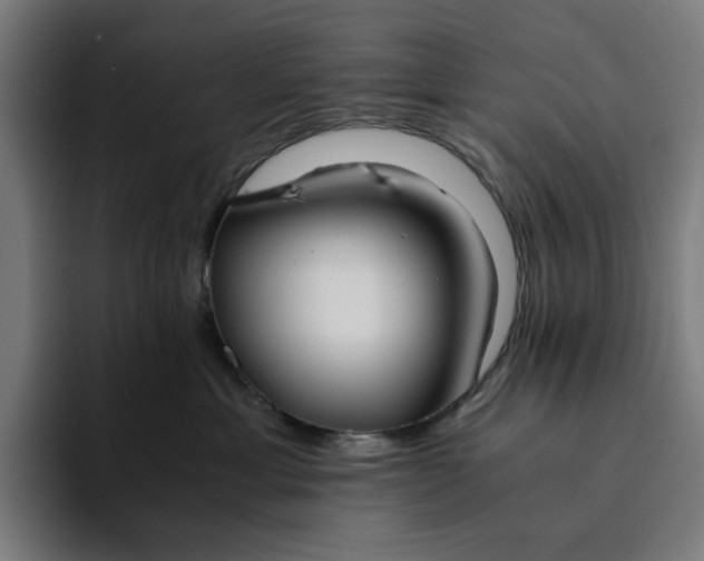 X0000094370429200711162114