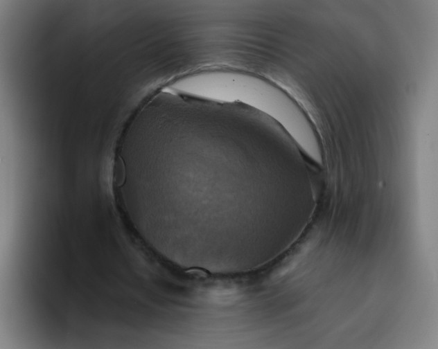 X0000094370434200711162114