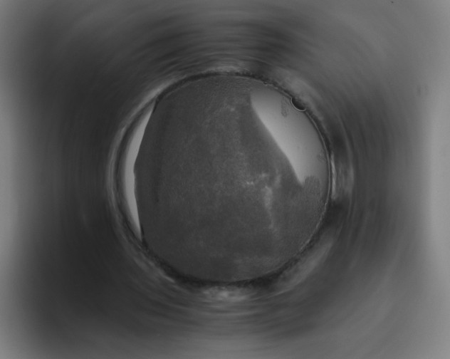 X0000094370435200711162114