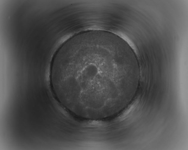 X0000094370437200711162114