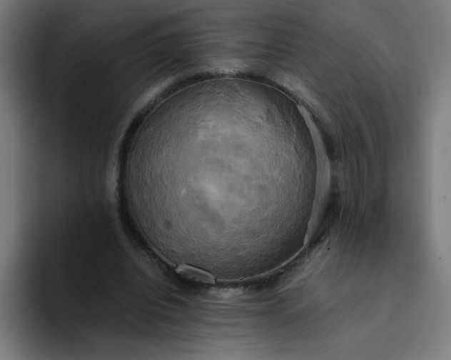 X0000094370440200711162114
