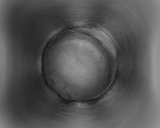 X0000094370442200711162114