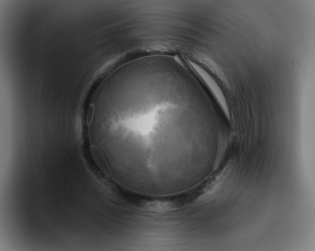 X0000094370444200711162114