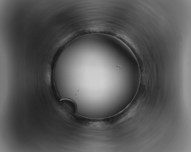 X0000094370446200711162114