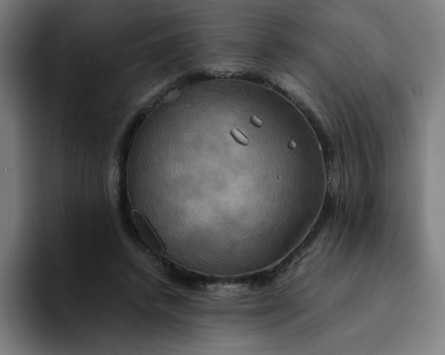 X0000094370448200711162114