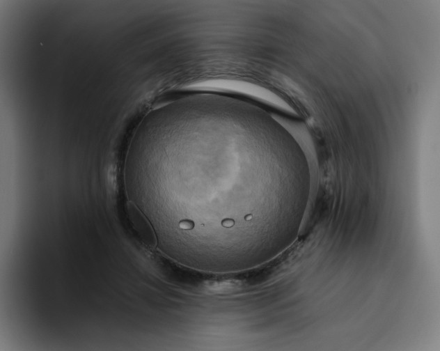 X0000094370452200711162114