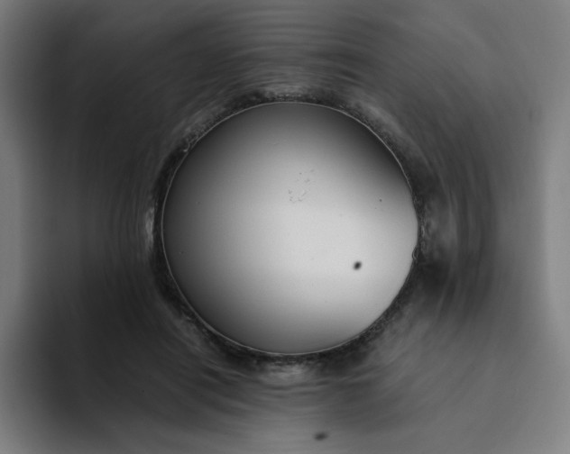 X0000094370454200711162114