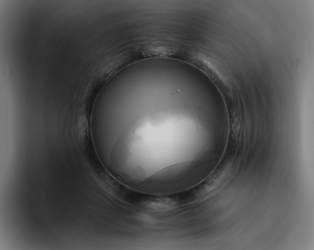 X0000094370459200711162114