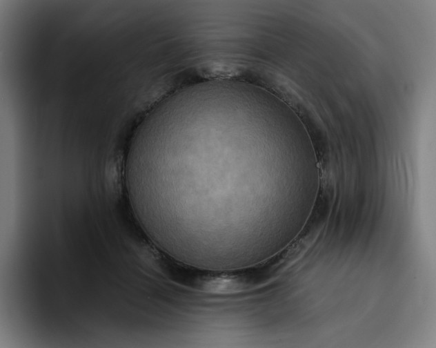 X0000094370460200711162114