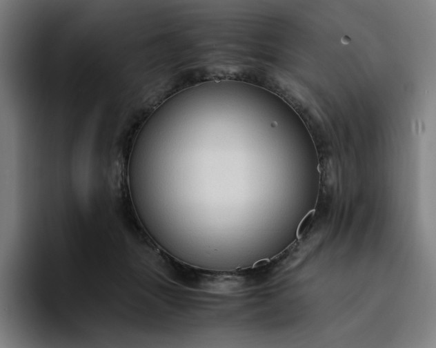 X0000094370463200711162114