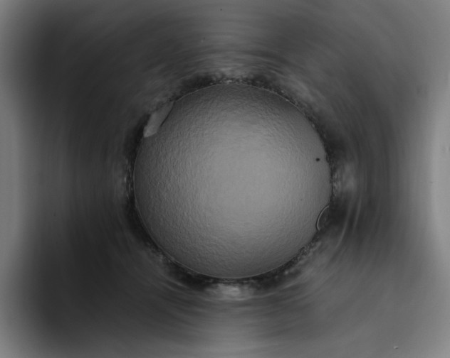 X0000094370464200711162114