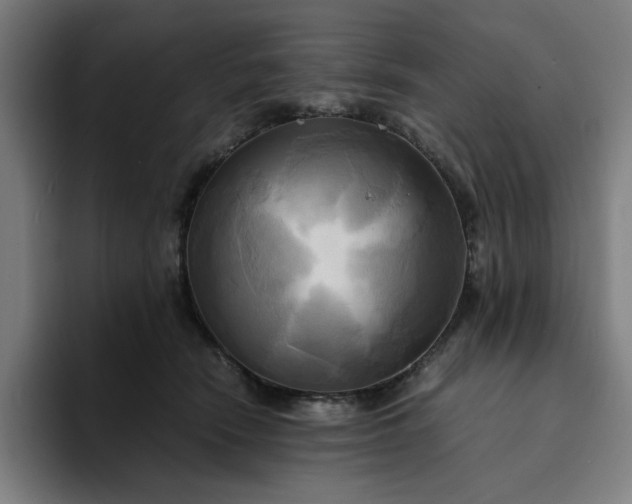 X0000094370466200711162114